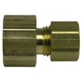 thumbnail image 1 of Brass Craft Pièces de Service 462-6-4X P 0.25 x 0.37 Adaptateur de Compression Flare, 1 of 1