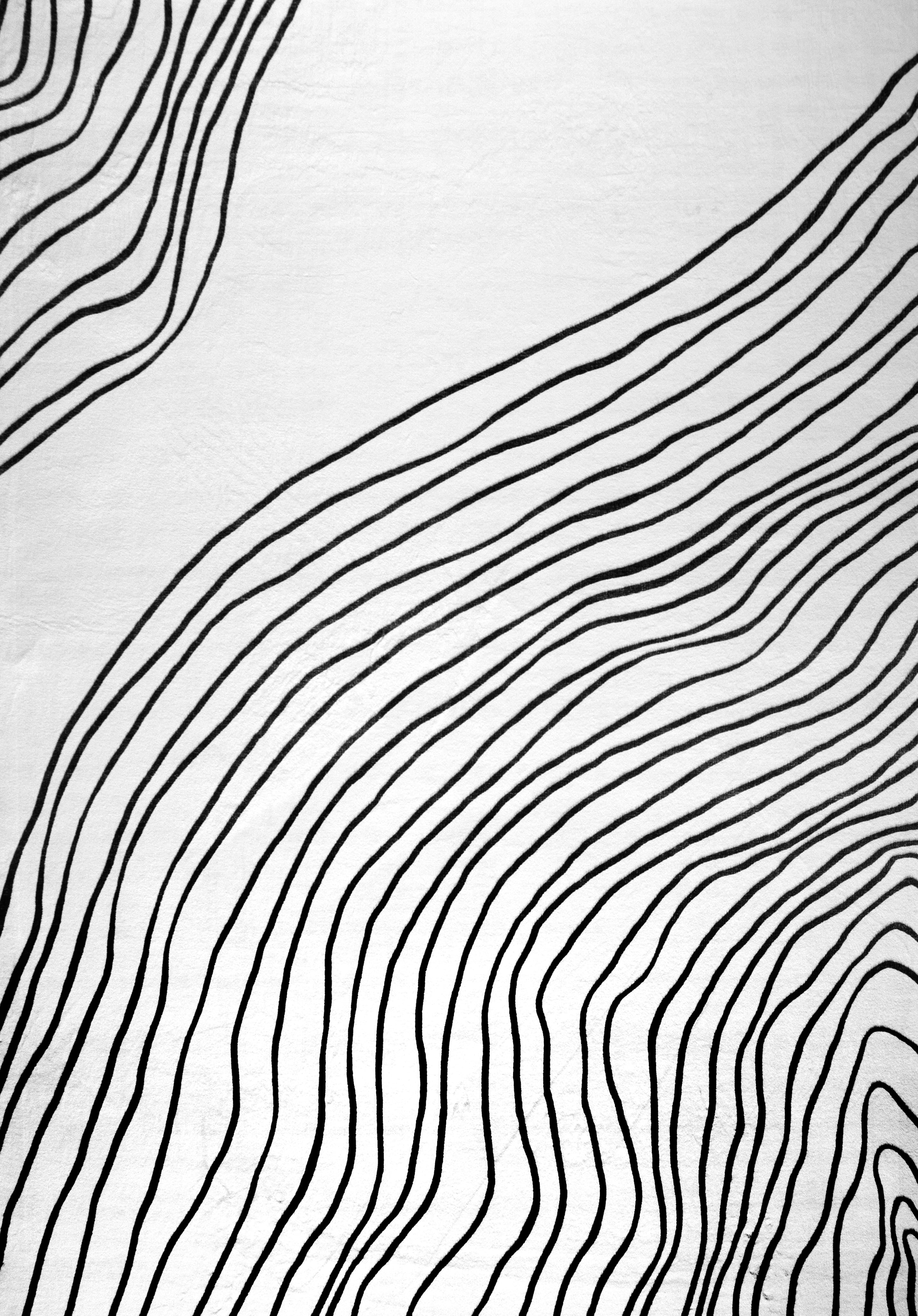 Rug Branch Minimalist Abstract Indoor Area