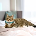 thumbnail image 2 of 8 Color Off The Shelf Cat Collar Can Be Broken Cat Callor Cat Collar, 2 of 6
