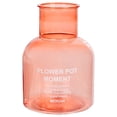 thumbnail image 2 of Indoor Plant Pots 13.5 cm x 10 cm x 5.5 cm Transparent Hydroponic Plastic Flower Pot With Water Storage Capacity For Desktop And Living Room Use, 2 of 8