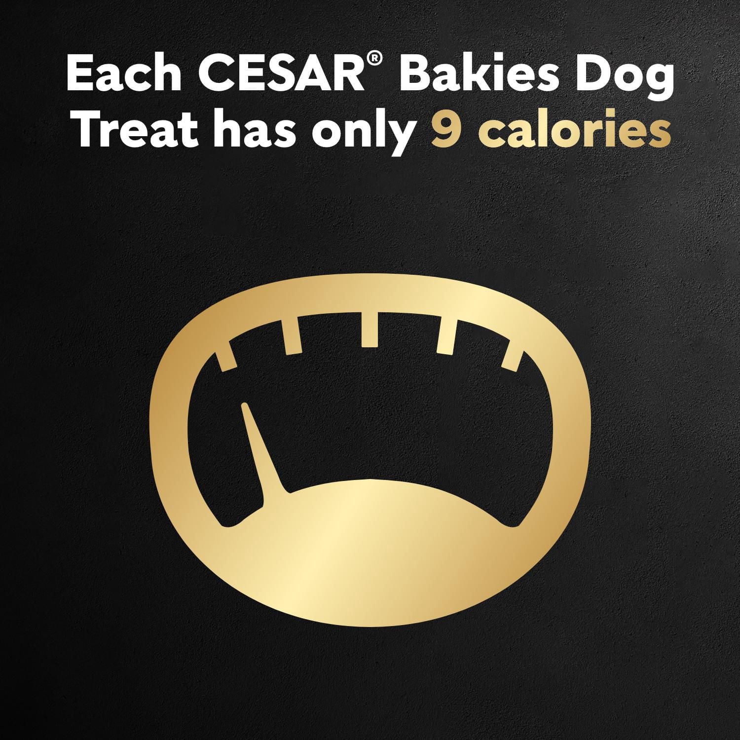 Gâteries pour chiens CESAR BAKIES, petits chiens adultes, saveur de contre-filet