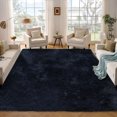 thumbnail image 2 of 5x8 ft Shaggy Area Rugs for Bedroom Living Room Large Fluffy Floor Rugs with Non-Slip Backing, Soft Plush Carpet Rugs Home Décor, 2 of 10