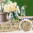 thumbnail image 2 of Small Green Stones Polished River Rocks Stepping Stones for Kids Craft Decorative Stones for Vases Clear Stepping Stones Outdoor Kids Stepping Stones for Kids Garden Decorative Stones for Vases Amber, 2 of 4