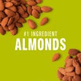 thumbnail image 3 of KIND Minis, Nuts Sea Salt & Dark Chocolate Snack Bars, 20g, 10 Bars, 3 of 11
