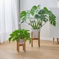 thumbnail image 3 of Mainstays 6 in Brown Wood Plant Stand, 3 of 9