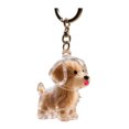 thumbnail image 1 of Pet Hair Collector Keychain Transparent Souvenir Capsule Waterproof Design Dog Hair Memorial Keychain, 1 of 8