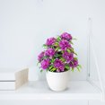 thumbnail image 3 of 12 Headed Chrysanthemum Potted Green Floral Arrangement for Home Centerpiece Desktop in Living Rooms, 3 of 5