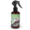 thumbnail image 1 of ScentSationals Room Spray - Eucalyptus & Sea Salt, 1 of 4