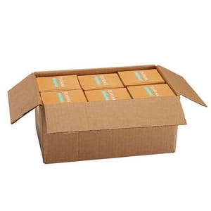 Teavana Hot Ginger Green Peach Tea Bags - 24 Count (6/Case)