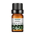 thumbnail image 1 of EGNMCR Humidifiers for Bedroom Aromatherapy Plant Water Soluble Humidifier Car Aromatherapy Essential Oil 10ml Humidifier aromatherapy, 1 of 1