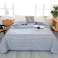 thumbnail image 2 of Couverture de Climatisation Couverture Glacée Fibre Rafraîchissante Résistante aux Taches 59x69po Couette d'Été Format Très Grand Jeté en Peluche Couvertures pour Adultes Déco de Chambre Couverture d'Été pour Dormeurs Ayant Chaud et Sueurs Nocturnes, 2 of 8