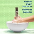 thumbnail image 3 of Softsoap Antibacterial Liquid Hand Soap Pump, Fresh Citrus - 332 ML, Liquid Soap, 3 of 5