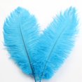 thumbnail image 1 of Ostrich Feather 30-35Cm Colorful Feather Decoration 36# Lake Blue H Feather (1*Feather), 1 of 7