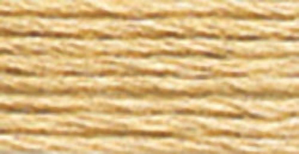 DMC 6 brins fil à broder 8 m (8.75 yd) - beige/brun 100 % coton fil