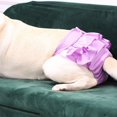 thumbnail image 3 of Washable Dog Diapers | Reusable Dog Diapers | Washable Female Dog Diapers | Cloth Dog Diapers for Dogs in Heat, or Dog Incontinence Diapers, gray, XXL, 3 of 6
