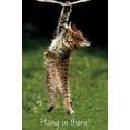 thumbnail image 1 of Famous Kitten Hang In There Poster Wall Poster, 22.375" x 34", 1 of 4