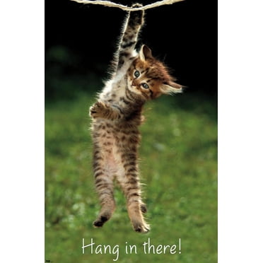 Famous Kitten Hang In There Poster Wall Poster, 22.375" x 34"