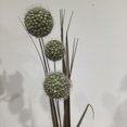 thumbnail image 3 of SPRAY POUR BOULES D'HERBE X 3, 3 of 3