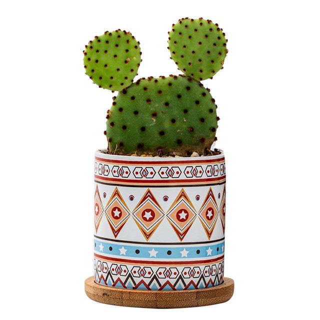 Plant Pot Cylindrical Flowerpot 7.5x7.6cm Geometric Pattern Simple Black White Nordic Style Home Decor Ceramic Vase