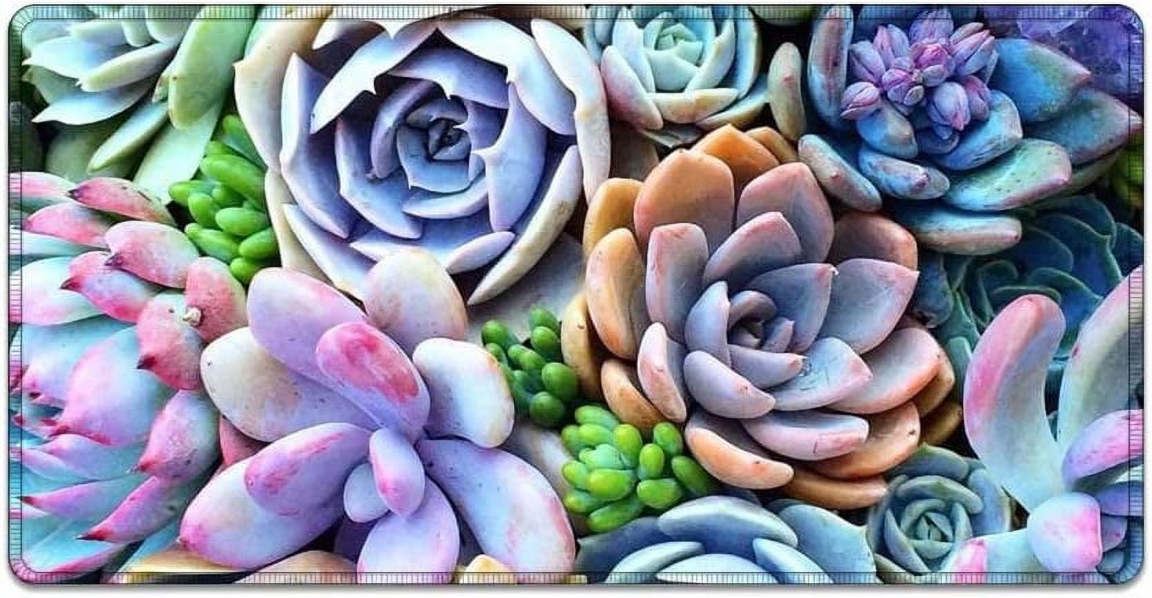Large Mouse Pad 31.4 x 15.7inches 3mm XXL Extended Gaming Mouse Pad Mat with Non-Slip Base Stitched Mousepad for Computer,Office,Keyboard and Laptop-Colorful Plants Succulents,Waterproof Desk Mat
