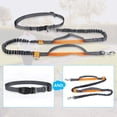 thumbnail image 3 of Hands Free Dog Leash, Adjustable Elastic Jogging Leash With Reflective Stitching For Dogs Up To 110 Kg, 3 of 6