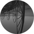 thumbnail image 1 of Ahgly Tapis Rond Lavable en Machine Intérieur Transitionnel Noir Charbon, 4 Pieds Rond, 1 of 7