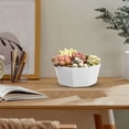 thumbnail image 1 of Large Diameter Modern Planters With Holes Ideal For African And Various Indoor, 1 of 6