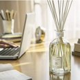 thumbnail image 4 of Dr. Vranjes Ginger and Lime Crystal Room Diffuser 500 ml, 4 of 5