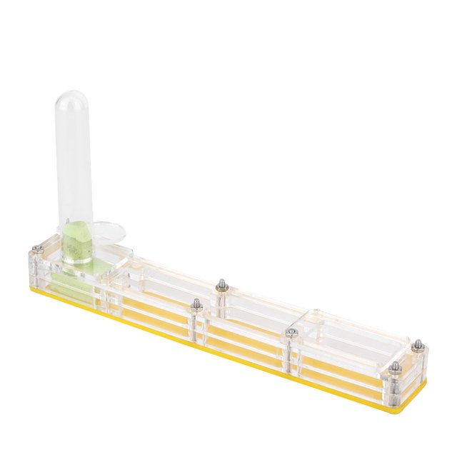 FLAMEEN Acrylic Ant Breeding House, Ant Breeding Box, For Ant School Household For Insect Garden