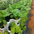 thumbnail image 2 of Plastic Stackable Vertical Flower Plant Pot Holder Garden Planter Decor, 2 of 12