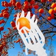 thumbnail image 4 of Outil de Panier de Cueillette de Fruits, ZZkhGO Cueilleur de Verger à Récolte Rapide, Perche Attachable Collecteur de Fruits pour Récolte de Poires et d'Oranges, Blanc, 4 of 5