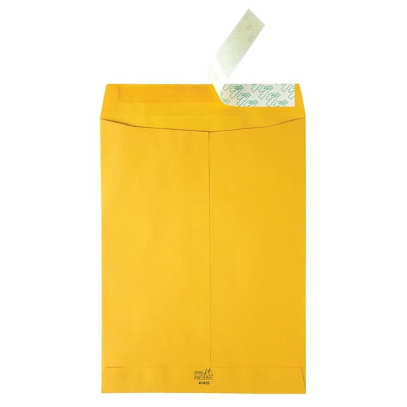 9x12 Catalog Peel & Seal Envelope, Brown Kraft