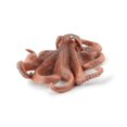 thumbnail image 4 of Jouet Modèle Figurine Requin Animal Marin Réaliste en Caoutchouc Doux, 4 of 5