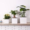 thumbnail image 3 of CAROOTU Pot de Fleurs Irrigation Automatique par Absorption d'Eau avec Récipient d'Eau pour Plantes Vertes Succulentes, 3 of 6