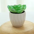 thumbnail image 2 of Coofit Mini Potted Succulent Lifelike - Artificial Plant Faux Succulent in Pot for Home, 2 of 4