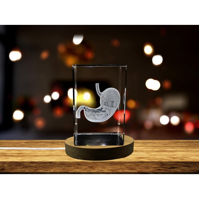 Stomach Art | 3D Engraved Crystal Keepsake | Gift/Decor | Collectible | Souvenir | Personalized 3d Crystal Photo Gift | Customized 3d Photo Engraved Crystal