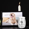 thumbnail image 4 of Urne pour Animaux Pot Commémoratif Chats Chien Produits Funéraires Urne en Alliage Scellée, 4 of 6