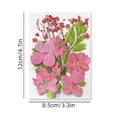thumbnail image 2 of Iumwxz Colorful Natural Dried Flowers And Embossed Decorative Set home decor Multicolor Plastic Holiday Travel, 2 of 5