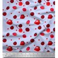 thumbnail image 1 of Soimoi Cotton Voile Fabric Raspberry,Strawberry & Cherry Fruits Print Sewing Fabric Yard 42 Inch Wide, 1 of 3