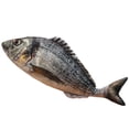 thumbnail image 1 of Kyusrd Simulation Fish Doll Plushs Toy Sleep Pillow Aquarium Doll Doll, 1 of 6