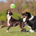 thumbnail image 3 of Dog Toy Ball Endless Fun Durable TPR Food Dispensing Interactive Dog Teething Ball for House Indoor Family Green, 3 of 12