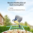 thumbnail image 4 of Bird Feeder with Camera, Netvue Birdfy Smart Bird Feeder with Free AI Identify for Bird Watching, Blue (Birdfy+Solar), 4 of 9