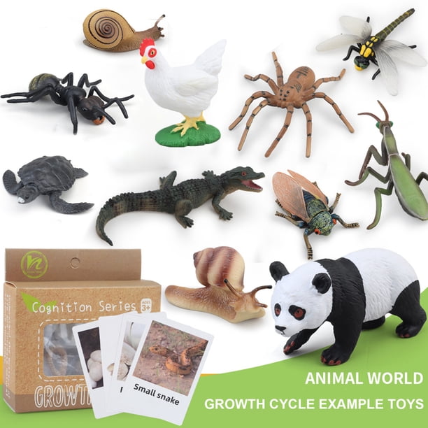 Cycle De Vie En Bois – Plateau D’Apprentissage Montessori – 26 Cm – Jeu Éducatif Insectes Et Animaux – Dès 3 Ans