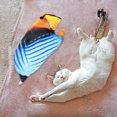 thumbnail image 2 of "Ultimate Cat Entertainment: Cat With Lifelike Movements To Stimulate Play And Curiosity – A Must For Every Cat Owner", 2 of 5