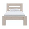 thumbnail image 4 of DHP Jaymee Kids Wood Platform Bed Frame, Twin, Sandwashed Gray, 4 of 8