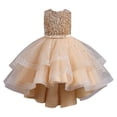 thumbnail image 1 of Kcodviy Robe de Demoiselle d'Honneur pour Fille Adolescente Élégante en Dentelle Baptême Chat Robe pour Enfants Robe de Mariage Robes de Fête, 1 of 4