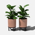 thumbnail image 4 of Veradek Demi Series Raised 12" Plastic-Stone Planter - (Terracotta/Black, 2 Pack), 4 of 10