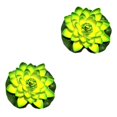 thumbnail image 3 of QualitChoice Artificial Lotus Replacement Simulation Outdoor Garden Park Pond Pool Photography Fake Water Flower Decor Green 2PCS, 3 of 6