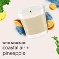 thumbnail image 4 of Glade® Chandelle parfumée, Agrumes sous le soleil côtier, 4 of 9