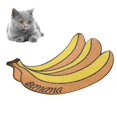thumbnail image 1 of <p>Cat Food Catching Mat, Cat Litter Mat Easy To Clean PVC Skid Resistance Flexible Decorative  For Bedroom For Pet</p>, 1 of 8
